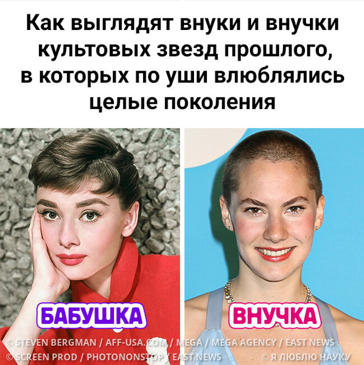 Как выглядят внуки и внучки культовых звезд прошлого, в которых по уши влюблялись целые поколения